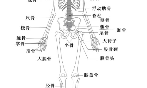 甘肃省中药材种植的企业-甘肃省中药材种植补贴通知,中国甘肃省中药材种植网站